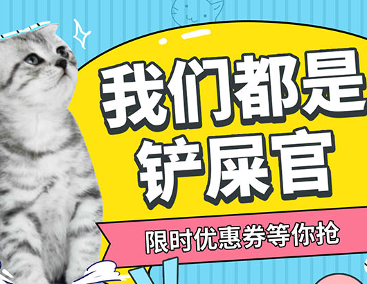蚂蚁分类信息系统